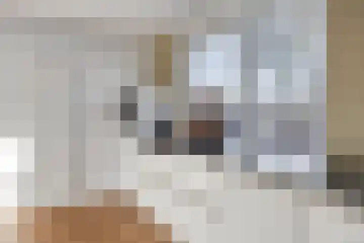 Hazeleger 50 Zeewolde thumbnail 10