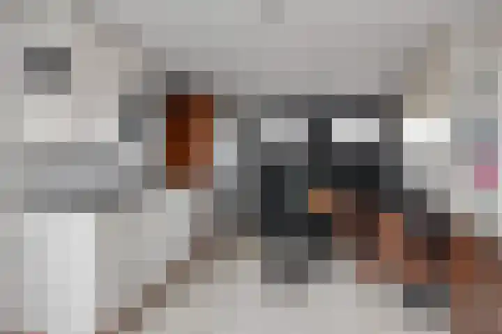 Hazeleger 50 Zeewolde thumbnail 22