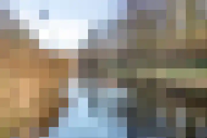 Hazeleger 50 Zeewolde thumbnail 29