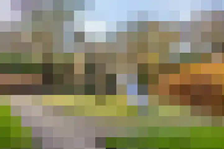 Hazeleger 50 Zeewolde thumbnail 30