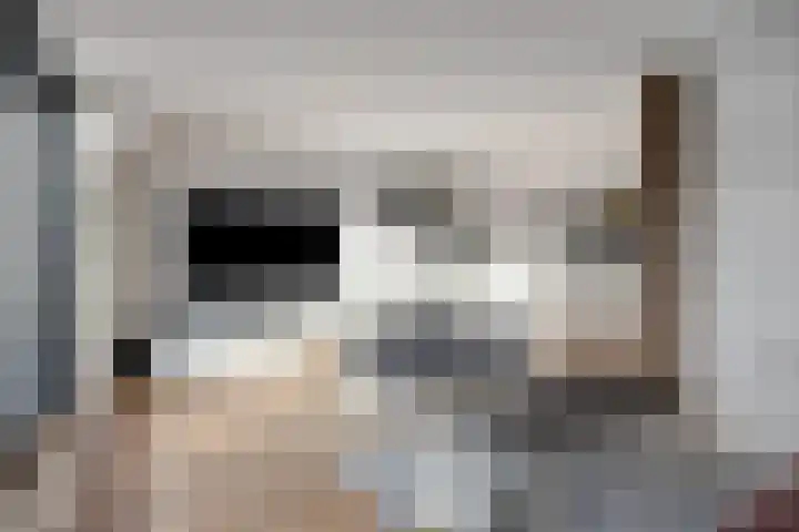 Hazeleger 50 Zeewolde thumbnail 7