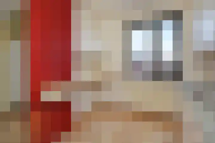 Hazelnootgaarde 6 Zoetermeer thumbnail 17