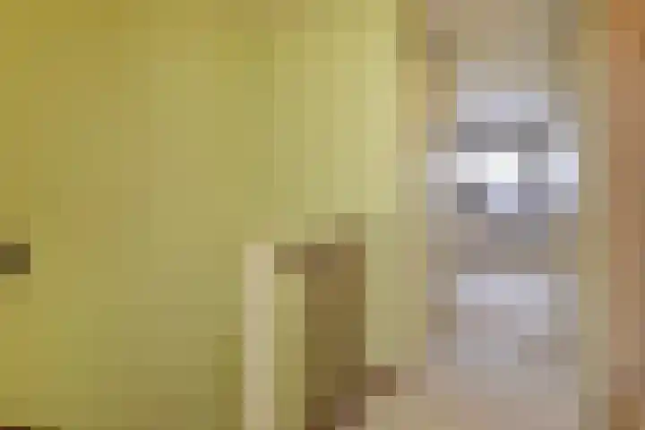 Hazelnootgaarde 6 Zoetermeer thumbnail 22