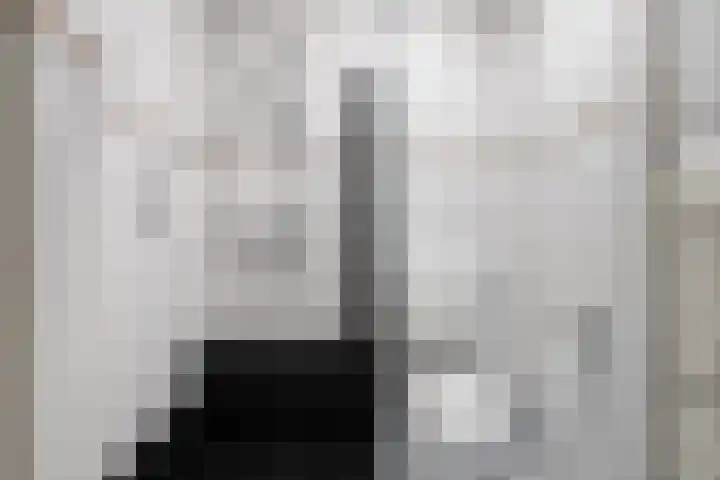 Hazelnootgaarde 6 Zoetermeer thumbnail 23