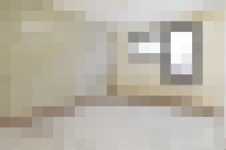 Hazelnootgaarde 6 Zoetermeer thumbnail 31