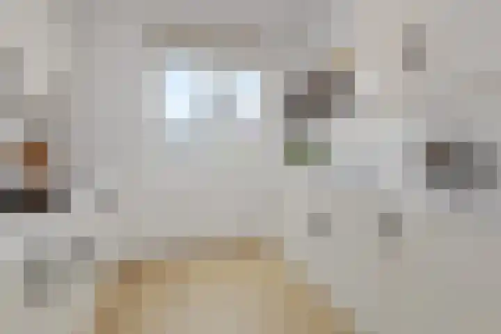 Hazelnootgaarde 6 Zoetermeer thumbnail 4