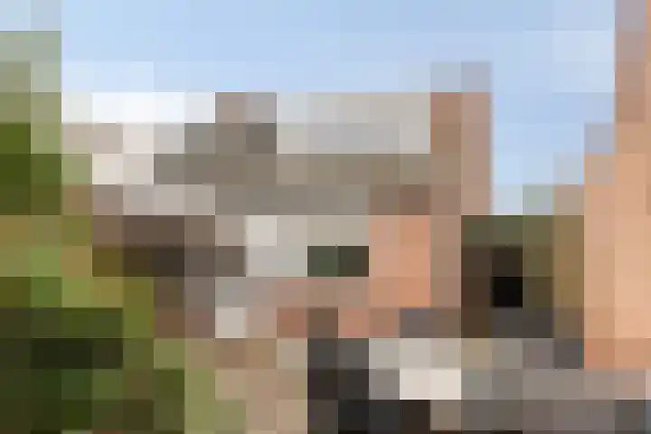 Hazelnootgaarde 6 Zoetermeer thumbnail 5