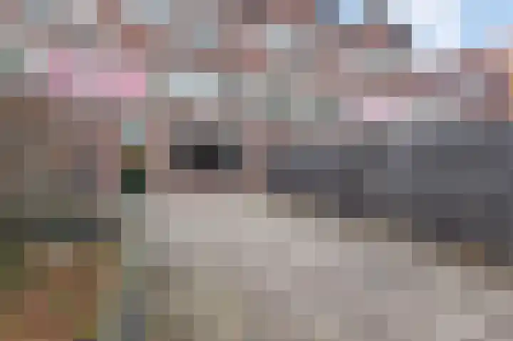 Hazelnootgaarde 8 Zoetermeer thumbnail 16