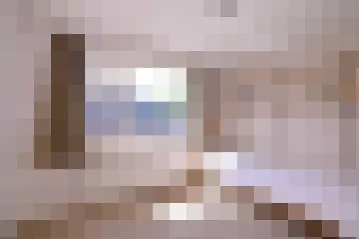 Hazenberg 28 Brummen thumbnail 24
