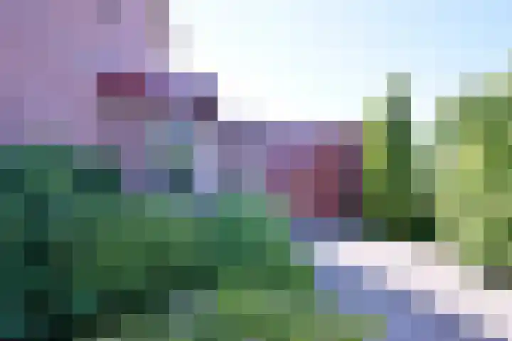 Hazenberg 28 Brummen thumbnail 33