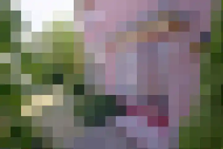 Hazenberg 28 Brummen thumbnail 34