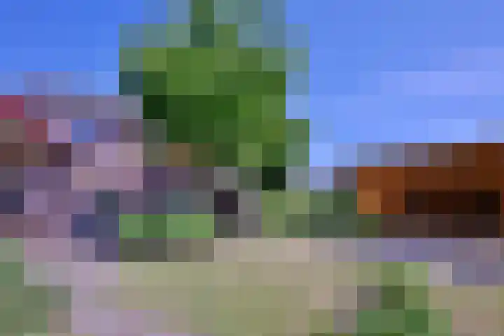 Hazenberg 28 Brummen thumbnail 40