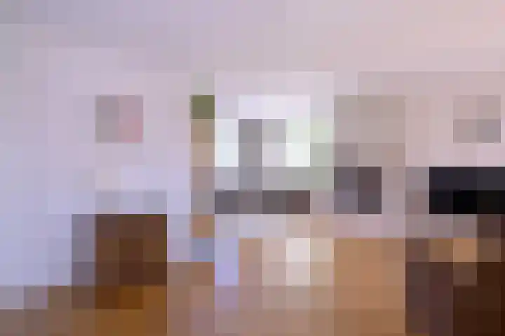 Hazenberg 28 Brummen thumbnail 5