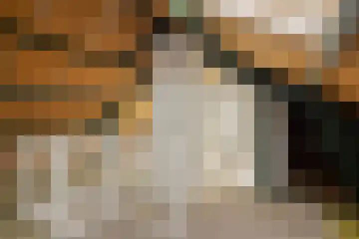 Hazenberg 29 Alphen thumbnail 30