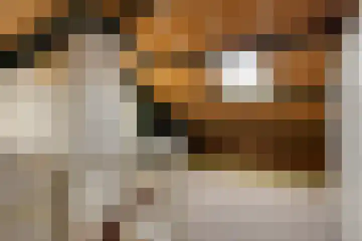 Hazenberg 29 Alphen thumbnail 32