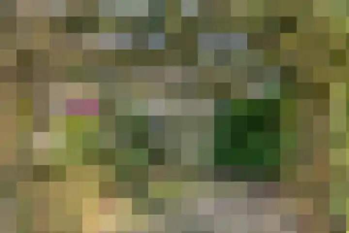 Hazenberg 29 Alphen thumbnail 38