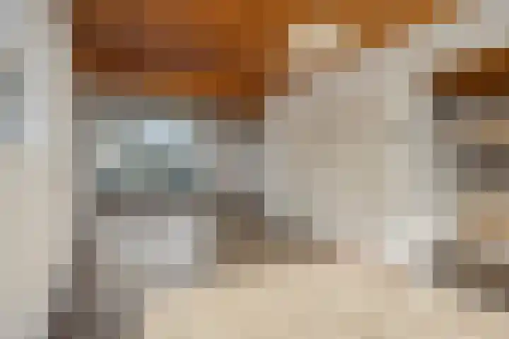 Hazenberg 29 Alphen thumbnail 4