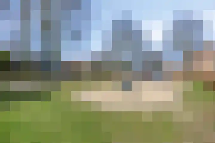 Hazenberg 29 Alphen thumbnail 46
