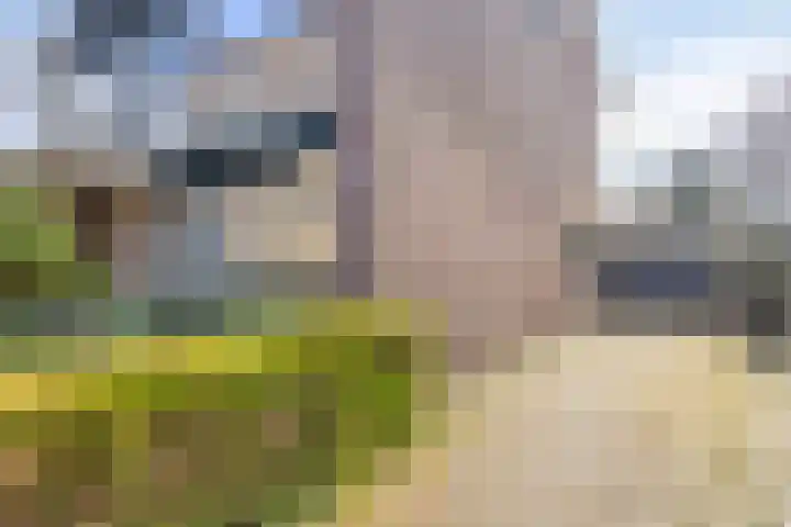 Hazenberg 29 Alphen thumbnail 49
