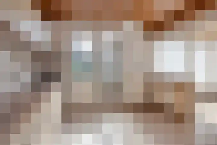 Hazenberg 29 Alphen thumbnail 8