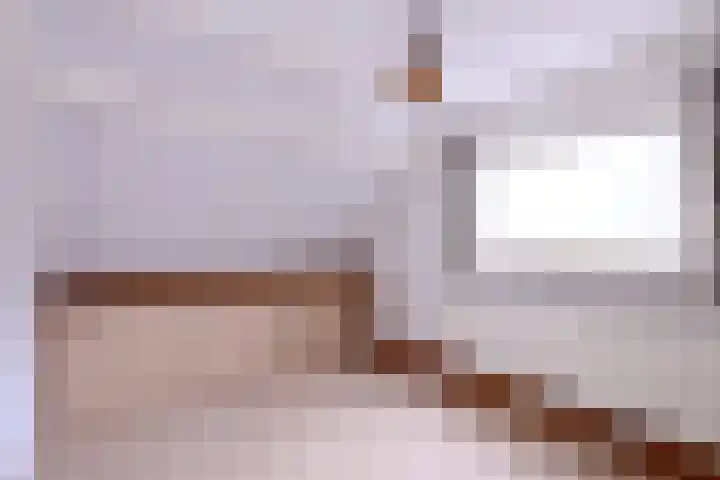 Hazenberg 38 Brummen thumbnail 17