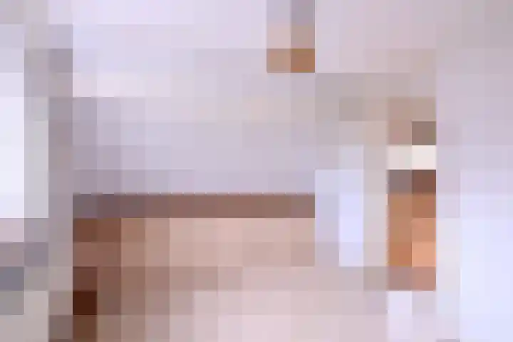 Hazenberg 38 Brummen thumbnail 18