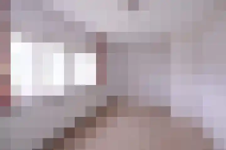 Hazenberg 38 Brummen thumbnail 23