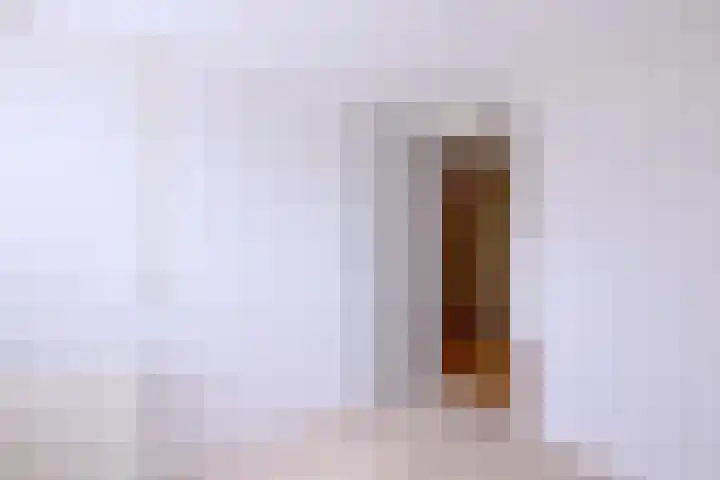 Hazenberg 38 Brummen thumbnail 26