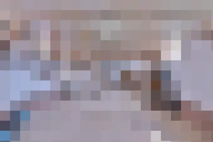 Hazenberg 38 Brummen thumbnail 31