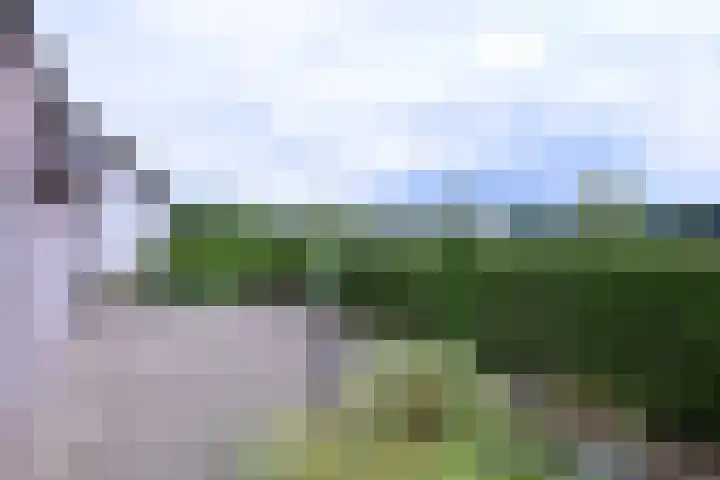 Hazenberg 38 Brummen thumbnail 34