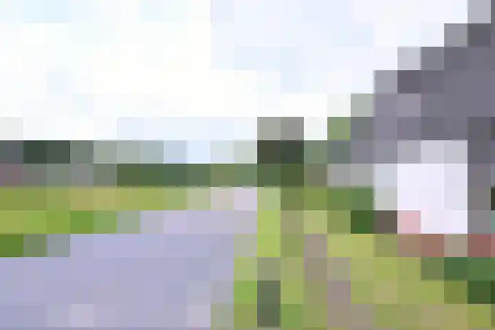 Hazenberg 38 Brummen thumbnail 36