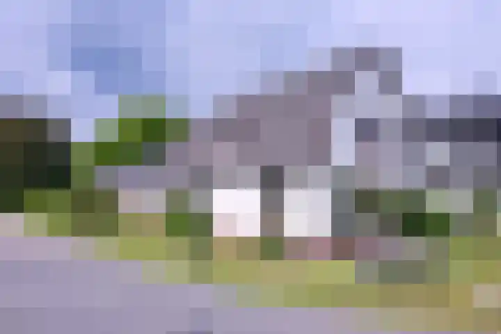Hazenberg 38 Brummen thumbnail 47
