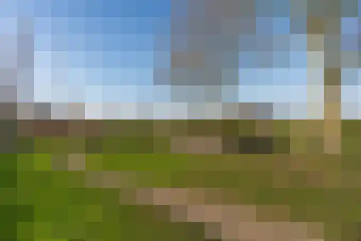 Hazenbos 27 Hedel thumbnail 31