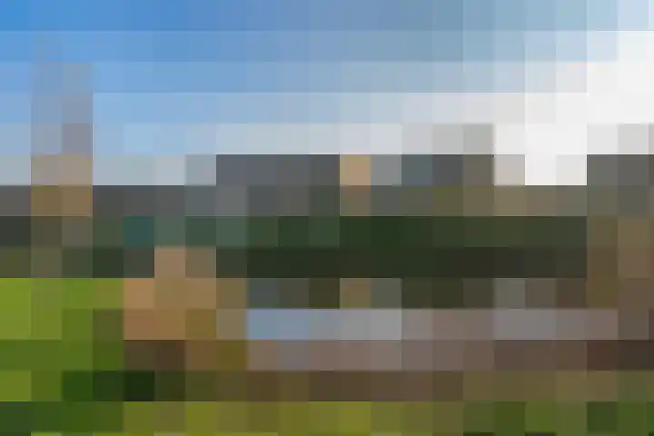 Hazenbos 27 Hedel thumbnail 32