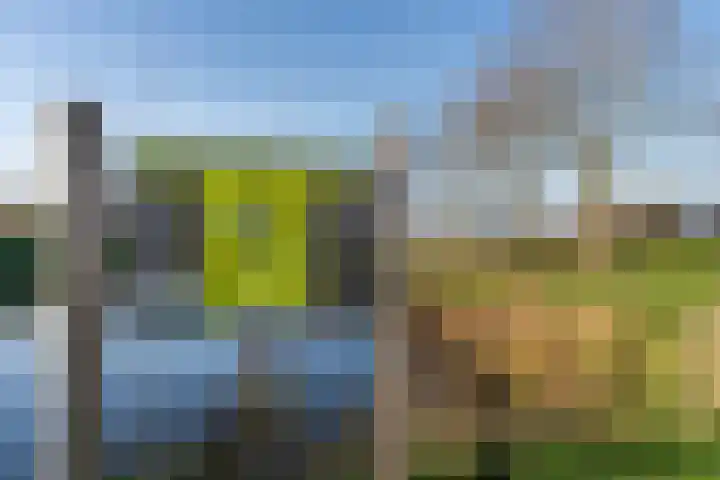 Hazenbos 27 Hedel thumbnail 33