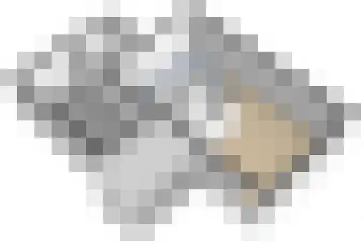 Hazenbos 27 Hedel thumbnail 39