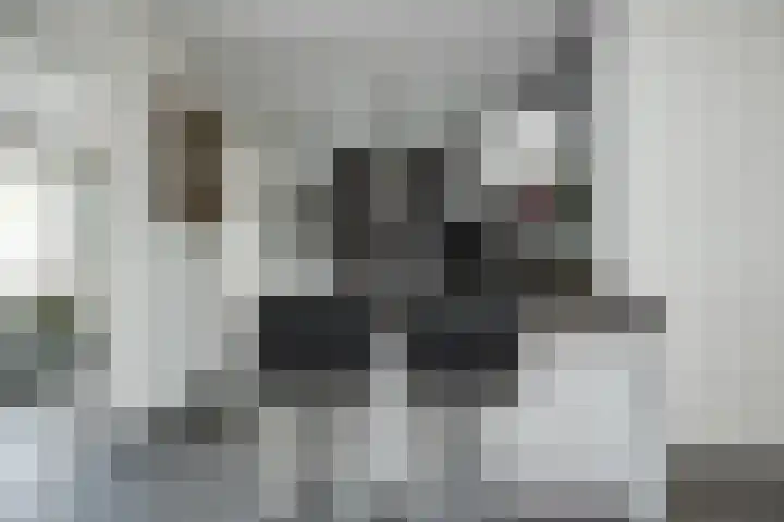 Hazenbos 29 Hedel thumbnail 17