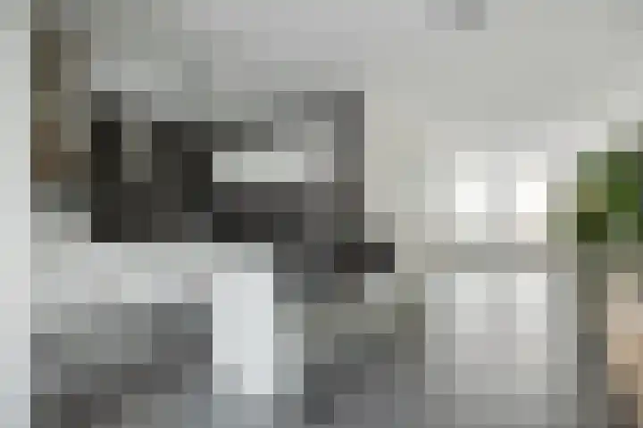 Hazenbos 29 Hedel thumbnail 18