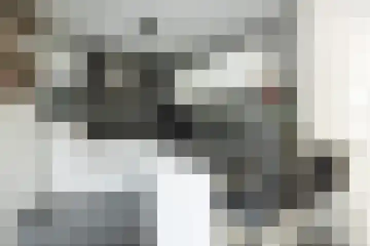 Hazenbos 29 Hedel thumbnail 19