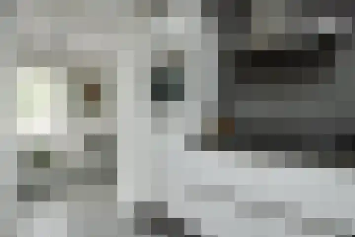 Hazenbos 29 Hedel thumbnail 21