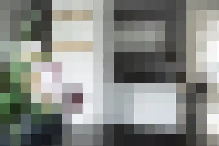 Hazenbos 29 Hedel thumbnail 27