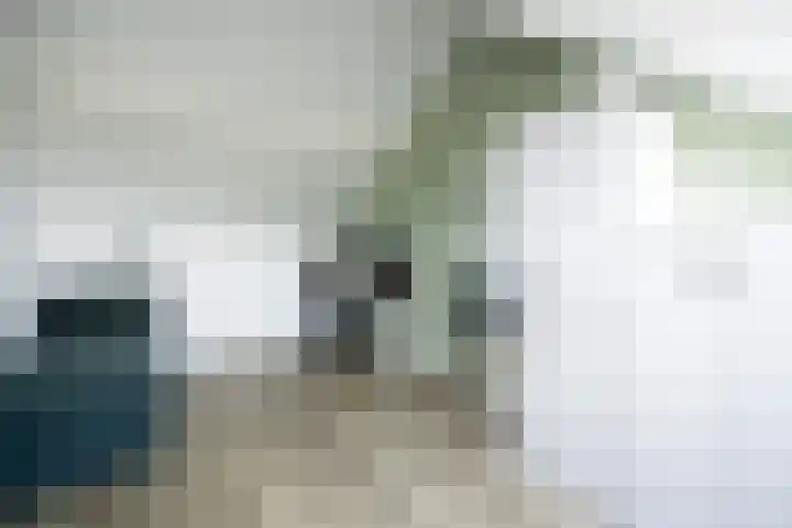 Hazenbos 29 Hedel thumbnail 40