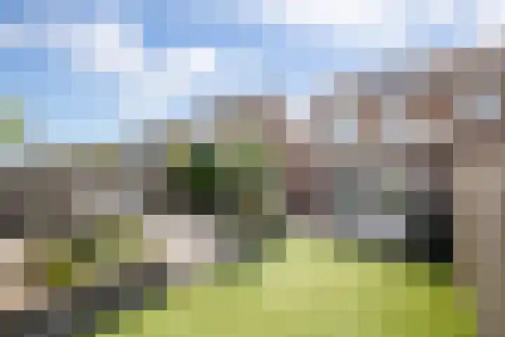 Hazenbos 29 Hedel thumbnail 42