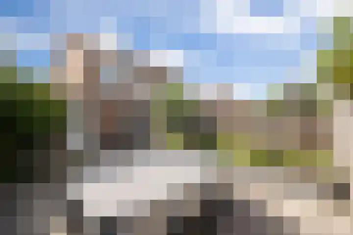 Hazenbos 29 Hedel thumbnail 44