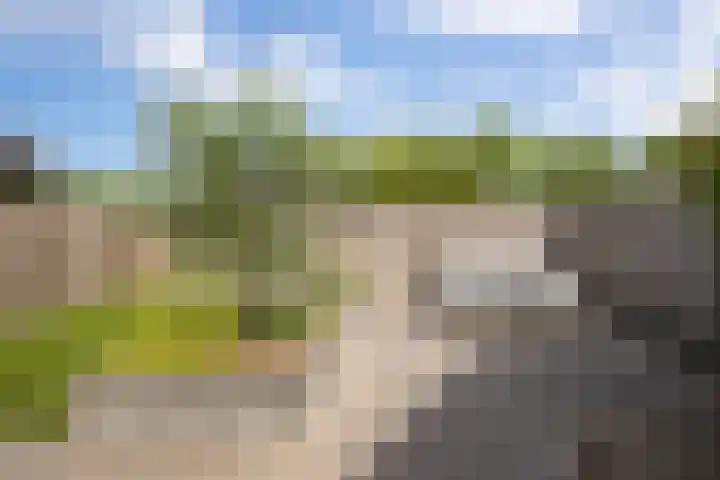 Hazenbos 29 Hedel thumbnail 46