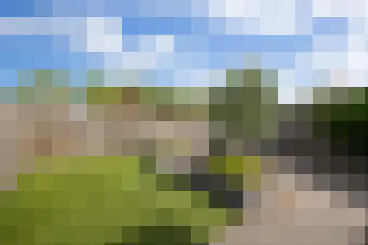 Hazenbos 29 Hedel thumbnail 47