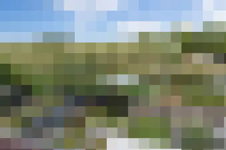 Hazenbos 29 Hedel thumbnail 50
