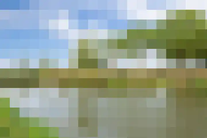 Hazenbos 29 Hedel thumbnail 54