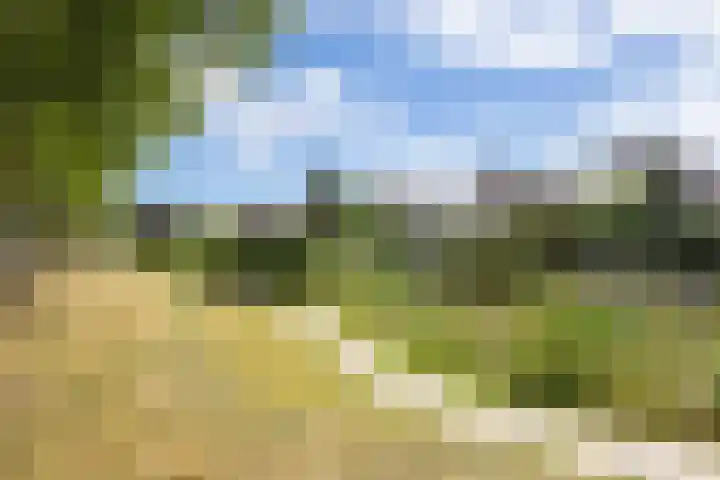 Hazenbos 29 Hedel thumbnail 56