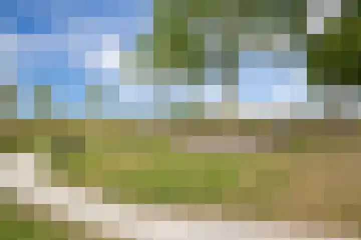 Hazenbos 29 Hedel thumbnail 57